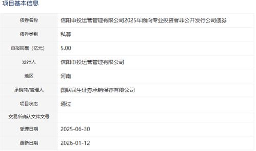 信阳申投运营管理公司5亿元公司债获批，加码人工智能公共服务技术咨询服务